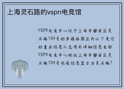 上海灵石路的vspn电竞馆